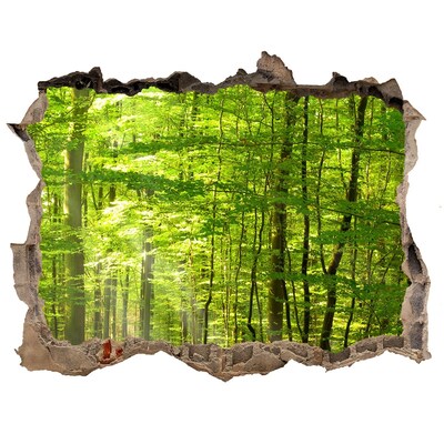Wandfolien Loch in der Wand Grüner Wald im Sonnenlicht