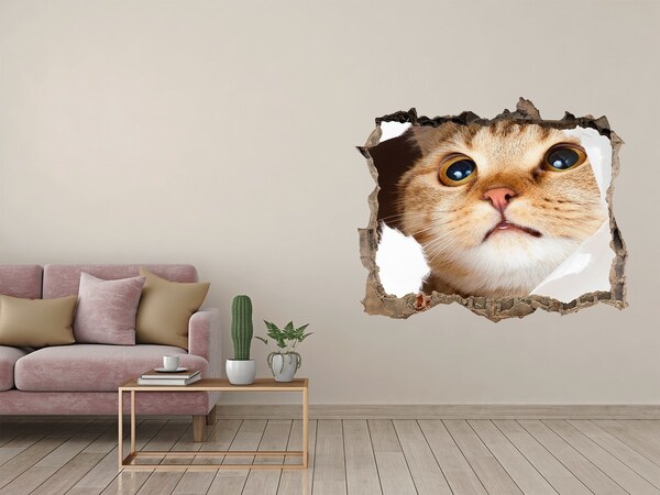 3D Wandtattoos Loch in der Wand Katze durch ein Loch in der Wand