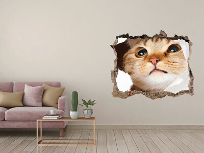 3D Wandtattoos Loch in der Wand Katze durch ein Loch in der Wand
