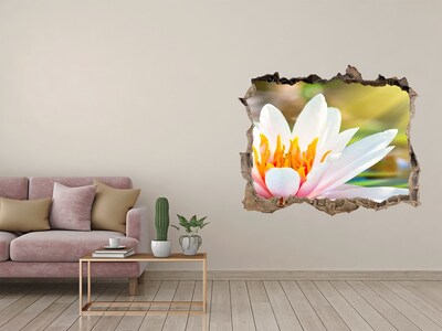 Wandfolien Loch in der Wand Wasserblume in einer verfallenen Mauer
