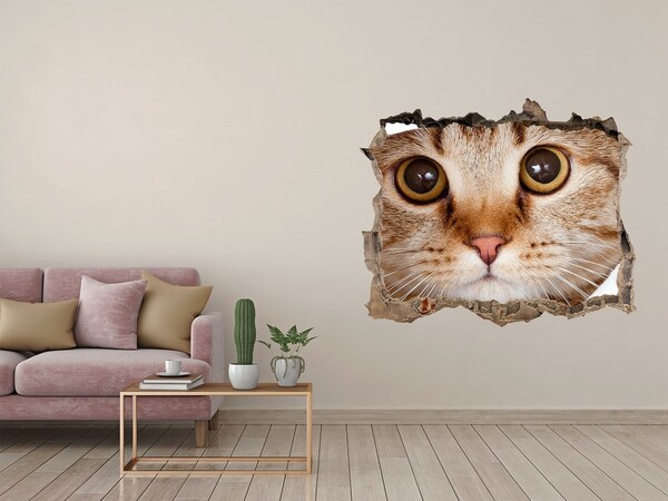 3D Wandtattoos Loch in der Wand Die Katze hinter dem Loch in der Wand