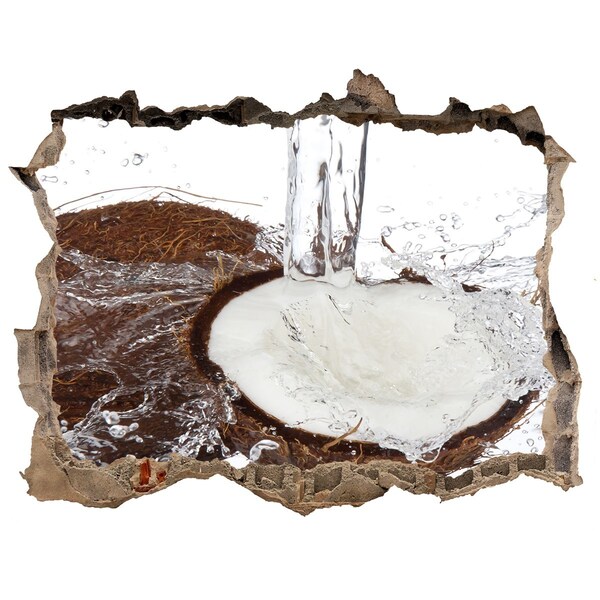 Wandtattoos Loch Kokosnuss in einem Bach