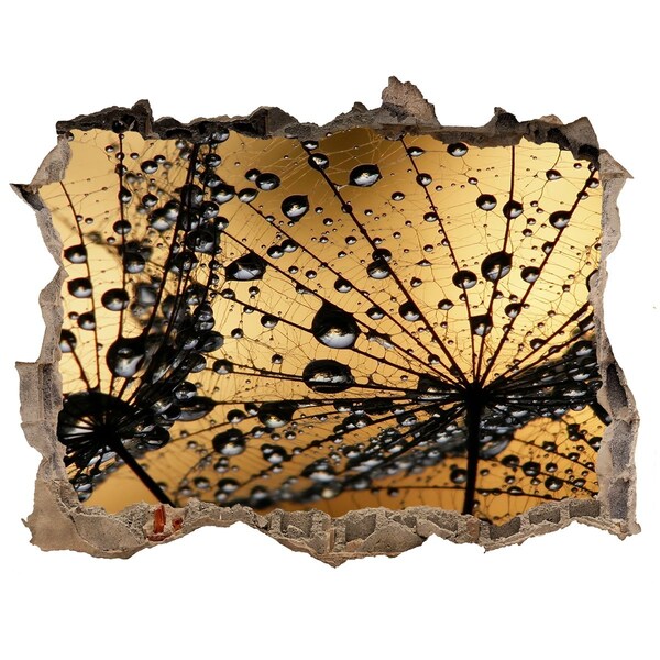 Wandtattoos Mauerdurchbruch Tropfen auf den Blättern