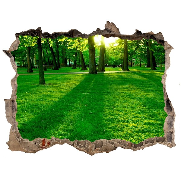 Wandtattoos Loch Grüner Park im Sonnenschein