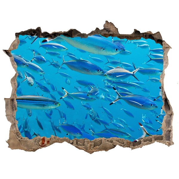 3D Wandtattoos Loch in der Wand Die Unterwasserwelt der Fische