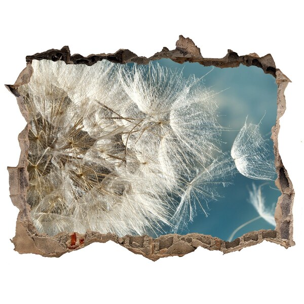 Wandtattoos Mauerdurchbruch Löwenzahn vor dem Himmel