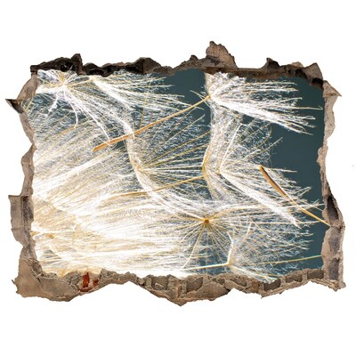 Wandtattoos Loch Hinter dem Loch erstreckt sich eine Blumenlandschaft.