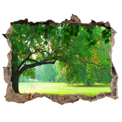 Wandfolien Loch in der Wand Grüner Park in der Sonne