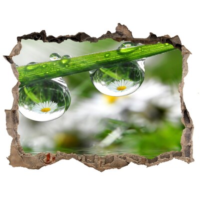 Wandtattoos Loch Blumenoase mit Wassertropfen