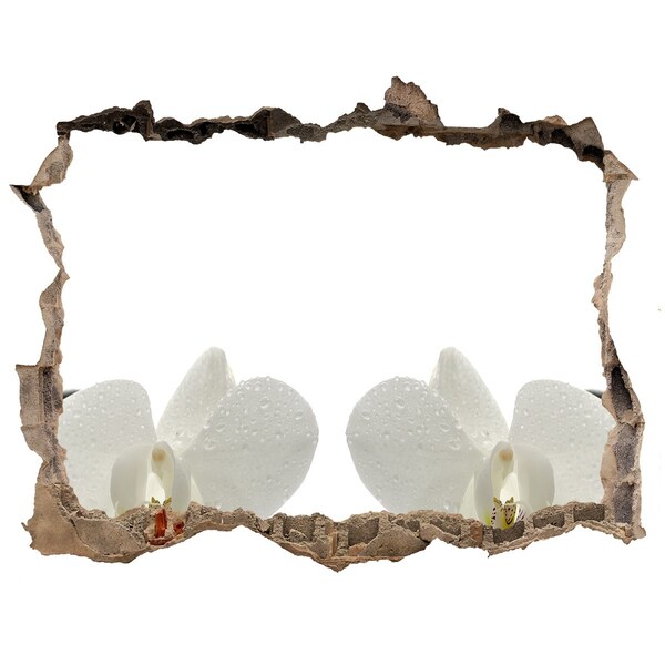 3D Wandtattoos Loch in der Wand Blumen aus Beton