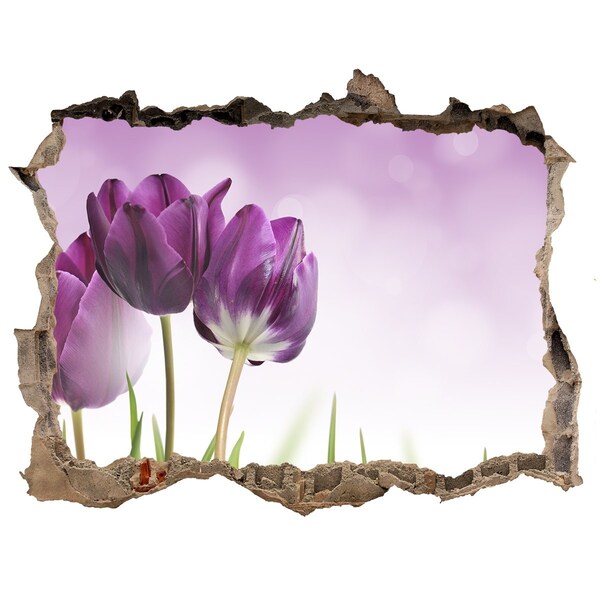 3D Wandtattoos Loch in der Wand Blumen in einem Loch in der Wand