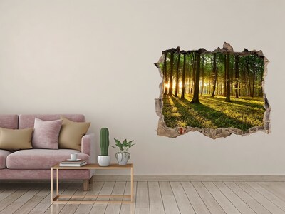 3D Wandsticker Loch Goldener Wald am Morgen