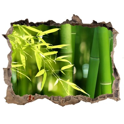 3D Wandtattoos Loch in der Wand Grüner Bambuswald