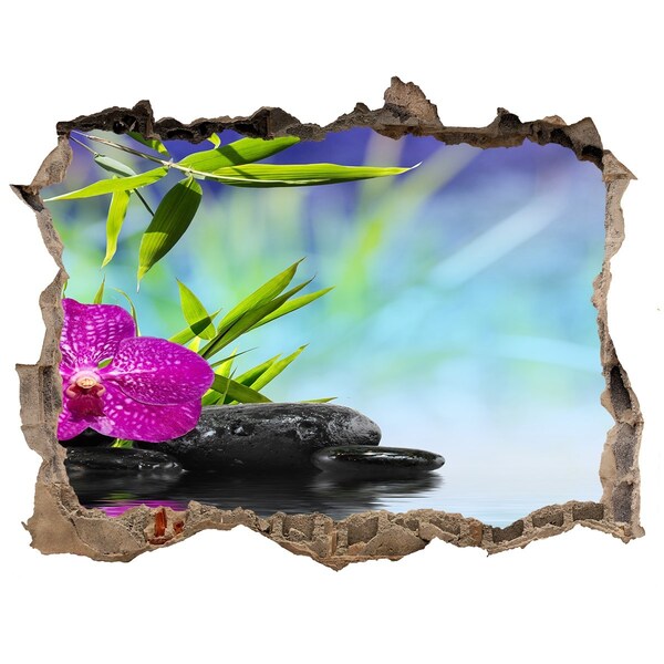 3D Wandsticker Loch Eine Oase der Ruhe mit einer Orchidee