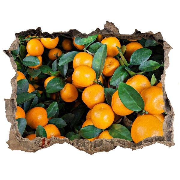 3D Wandsticker Loch Früchte im Orangengarten