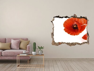 3D Wandtattoos Loch in der Wand Mohnblumen in einem Loch in der Wand