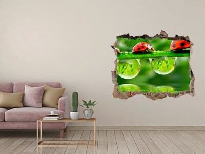 3D Wandtattoos Loch in der Wand Ein Tropfen Natur mit einem Marienkäfer