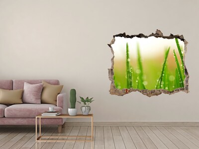 3D Wandsticker Loch Grüne Wiese mit Wassertropfen