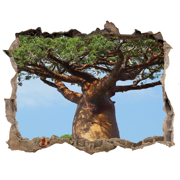 3D Wandsticker Loch Baobab in einem Loch in der Wand