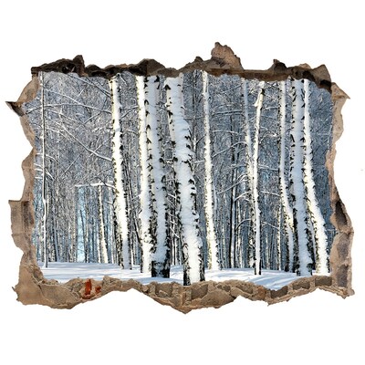 Wandfolien Loch in der Wand Winterwald in Weiß