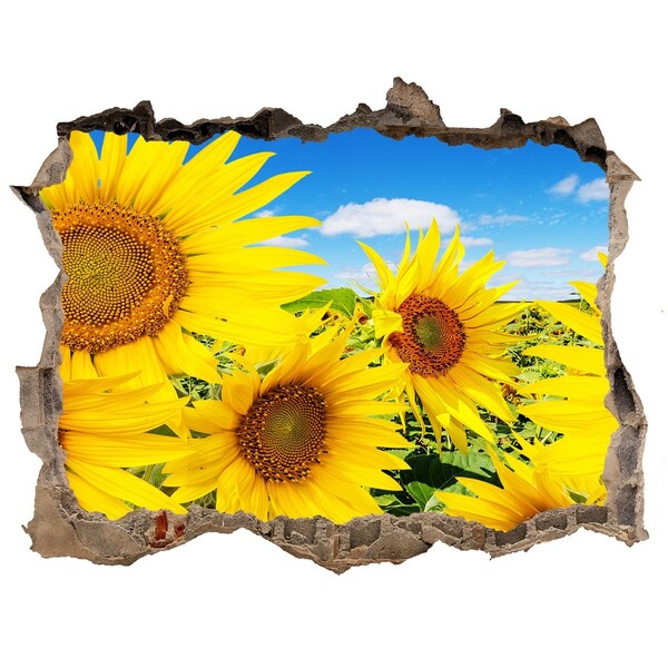 3D Wandtattoos Loch in der Wand Ein Blumenparadies mit Sonnenblumen