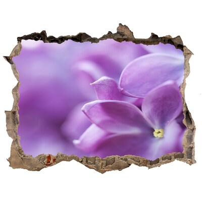 3D Wandsticker Loch Eine Blumenoase aus Beton