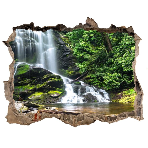 Wandtattoos Loch Wasserfall im Wald