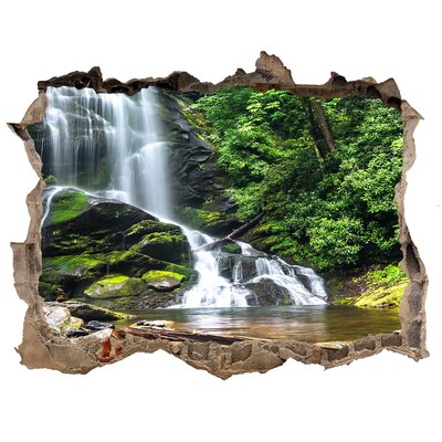 Wandtattoos Loch Wasserfall im Wald