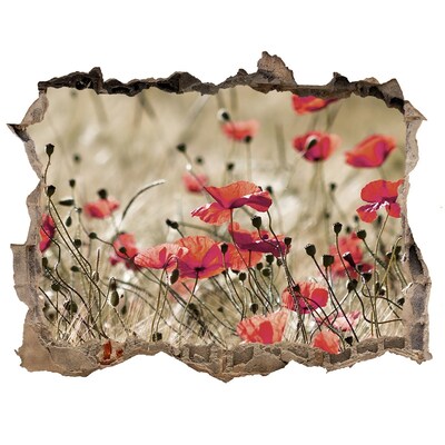 Wandfolien Loch in der Wand Ein Blumenparadies inmitten von Beton