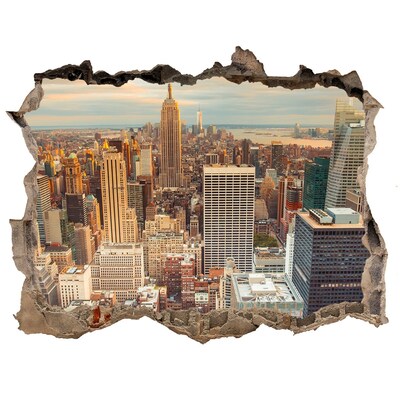 3D Wandtattoos Loch in der Wand Blick auf New York