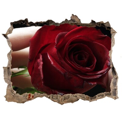 3D Wandtattoos Loch in der Wand Eine Rose in einer verfallenen Mauer