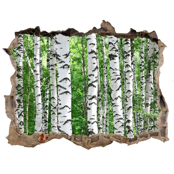 Wandtattoos Loch Eine versteckte Waldoase