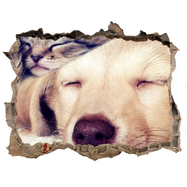 Wandtattoos Loch Süßer Hund in einem Loch in der Wand