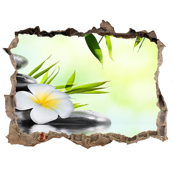 3D Wandsticker Loch Eine Oase der Ruhe in der Natur