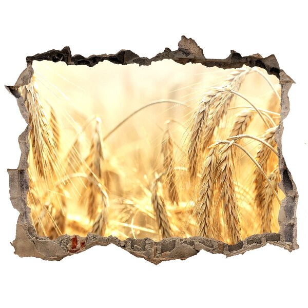 3D Wandtattoos Loch in der Wand Goldene Weizenfelder