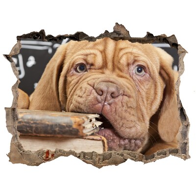 Wandtattoos Mauerdurchbruch Ein süßer Welpe inmitten von Büchern