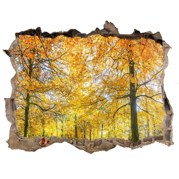 Wandtattoos Loch Goldener Herbst im Wald