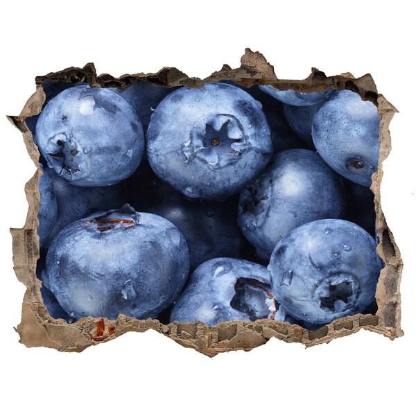 Wandtattoos Mauerdurchbruch Beeren im Beton