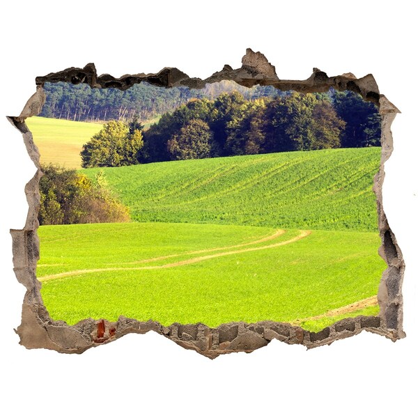 3D Wandsticker Loch Grüne Wiese hinter der Mauer