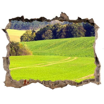 3D Wandsticker Loch Grüne Wiese hinter der Mauer