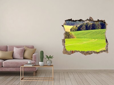 3D Wandsticker Loch Grüne Wiese hinter der Mauer
