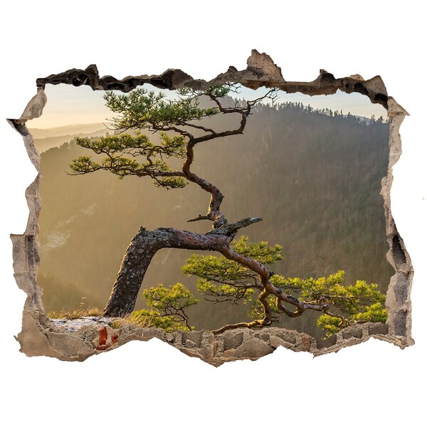 3D Wandsticker Loch Berglandschaft mit einem Baum