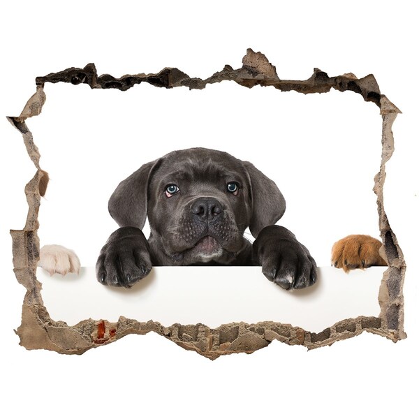 Wandtattoos Mauerdurchbruch Süßer Welpe hinter der Mauer