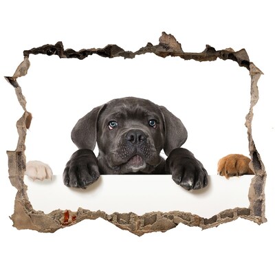 Wandtattoos Mauerdurchbruch Süßer Welpe hinter der Mauer