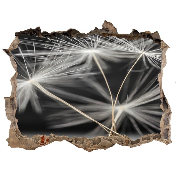 Wandfolien Loch in der Wand Löwenzahnblüten im Beton