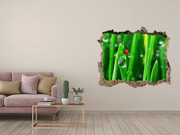 3D Wandsticker Loch Ein Tautropfen auf dem Gras mit einem Marienkäfer