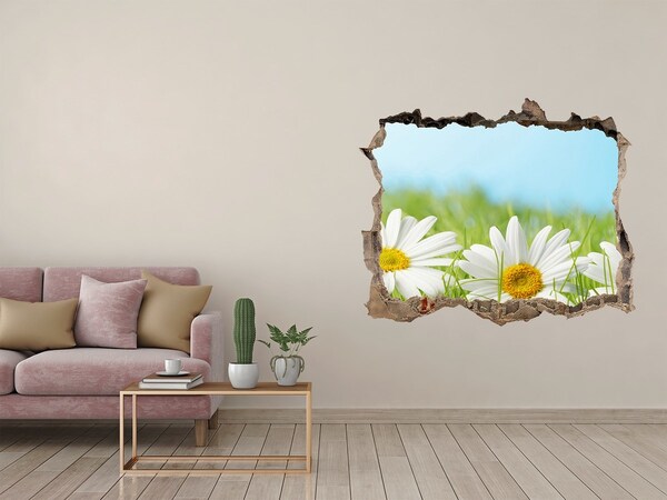 3D Wandsticker Loch Blumen auf einer grünen Wiese