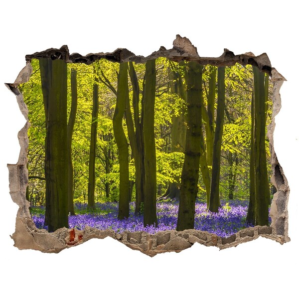 3D Wandtattoos Loch in der Wand Waldlichtung im Frühling