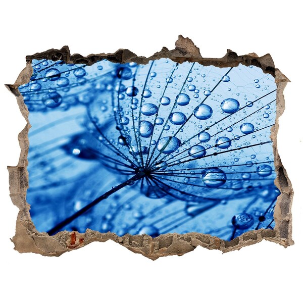 Wandfolien Loch in der Wand Wassertropfen auf einer zarten Blüte
