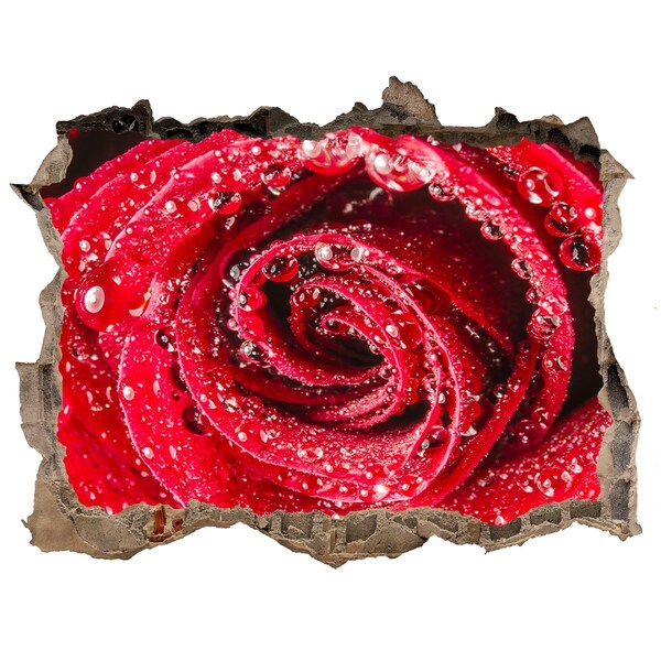 Wandtattoos Loch Rose mit Wassertropfen